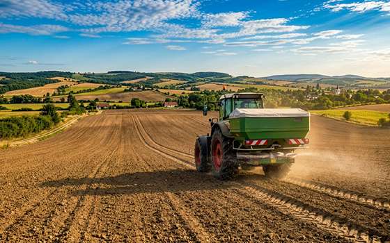 Fertilizarea de bază este esențială pentru cultivarea rapiței